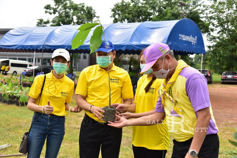 20210526-Tree planting dayt-138.JPG